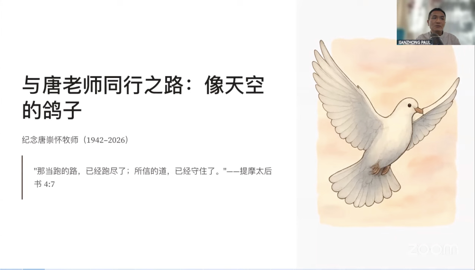 像天空的鸽子封面