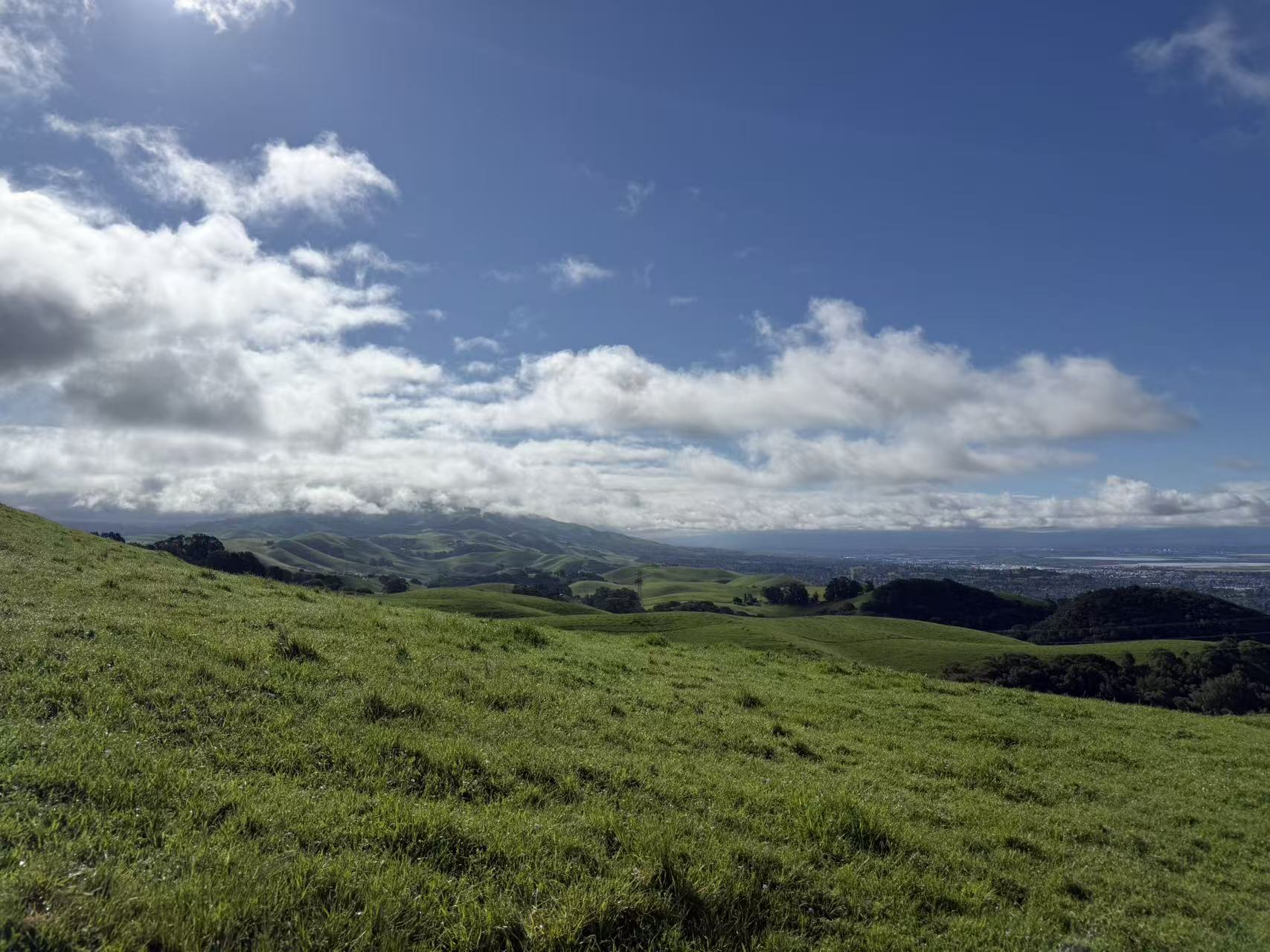 Green Pasture in the Spring | 2026年春天 绿油油的草地