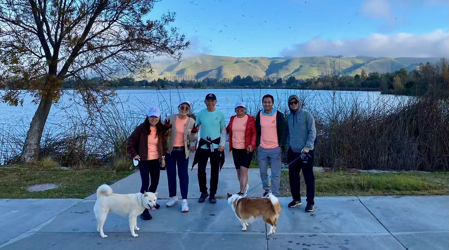 Dogs with Life Runners | 狗与生命跑者